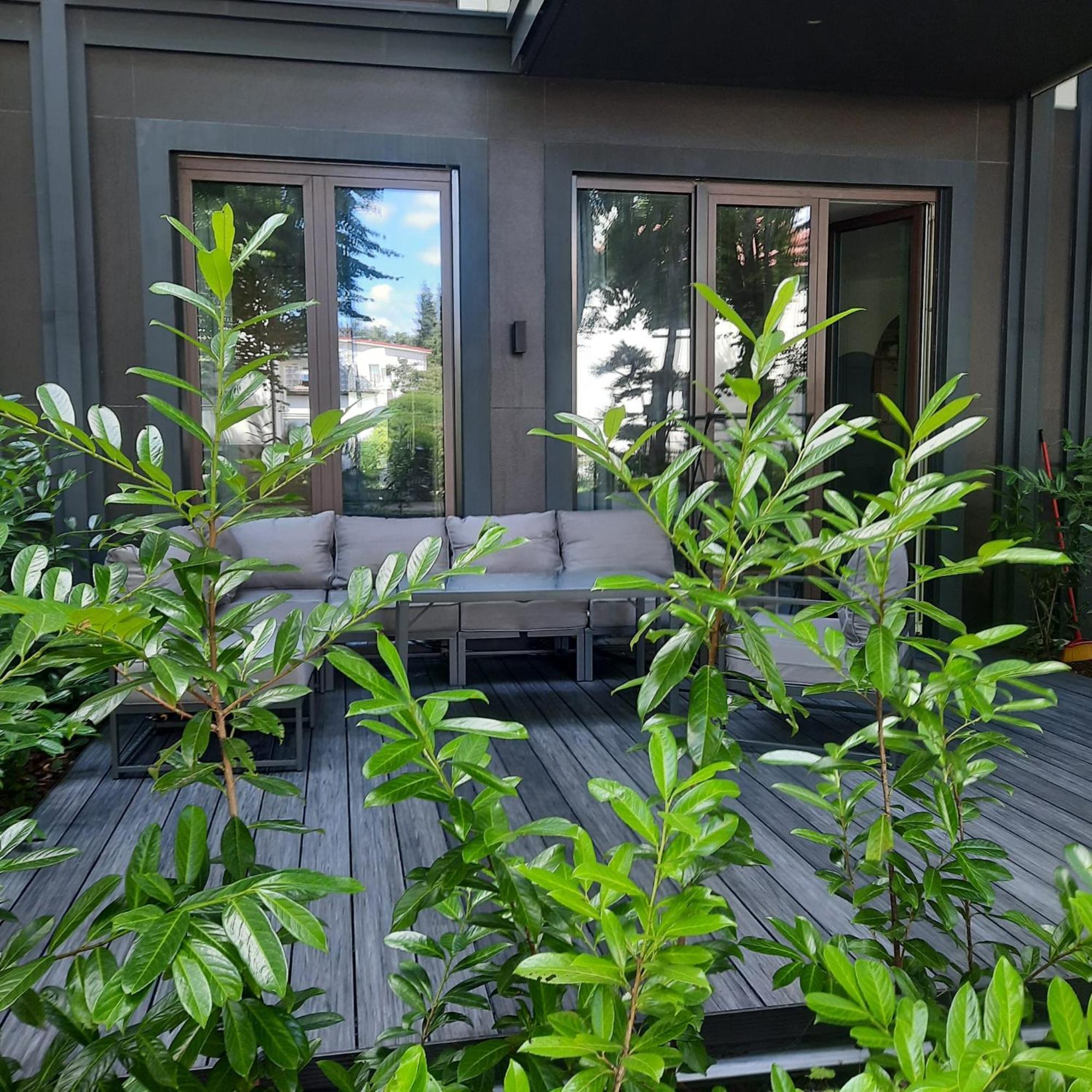 斯维诺乌伊希切Seaside Garden Blue公寓 外观 照片